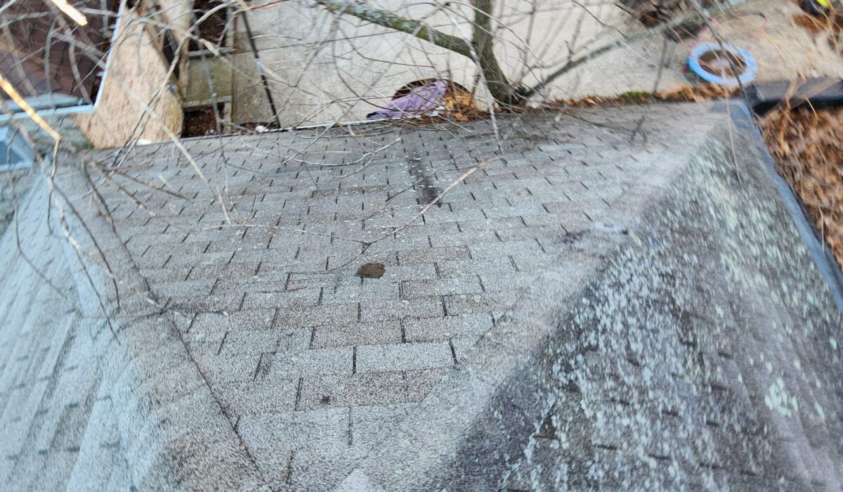 Flat and Shingle Roof Replacement in the Bronx Project Shot 4